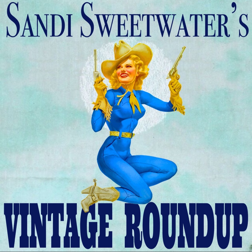 ✨🌵Meet your Posher, Sandi🌵✨
